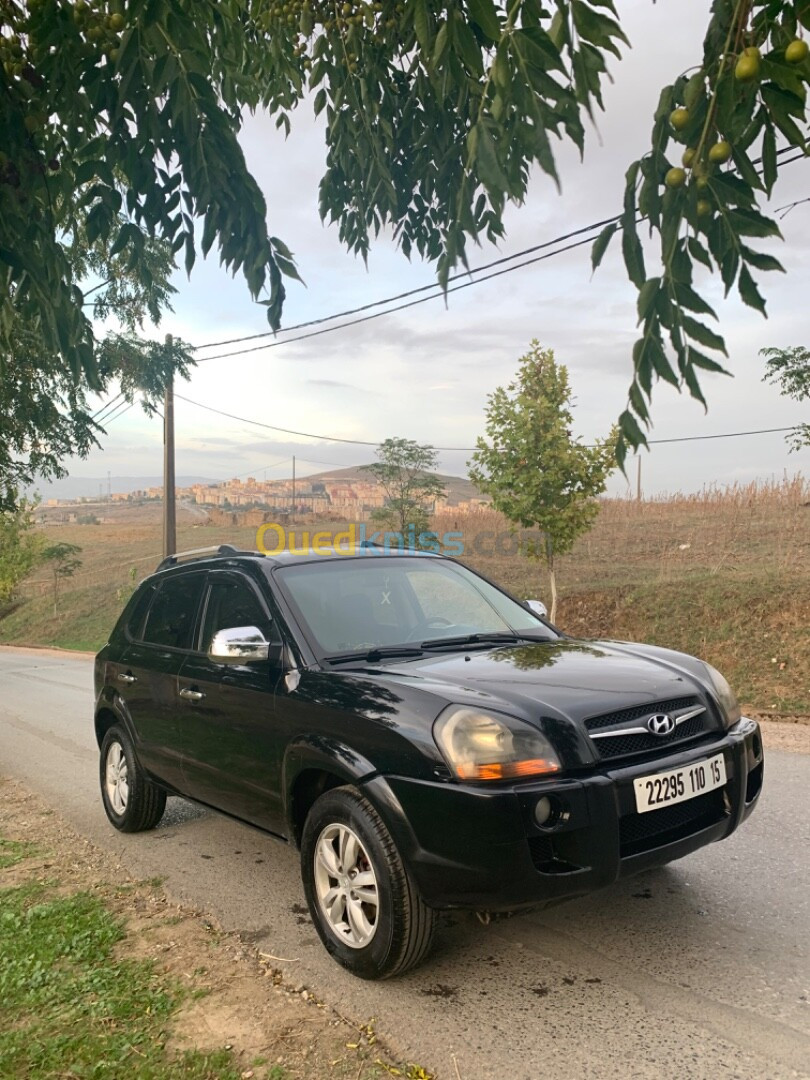 Hyundai Tucson 2010 Tucson