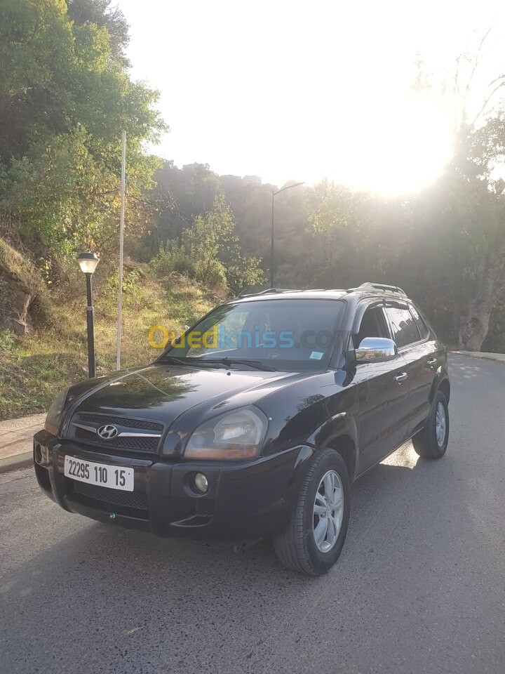 Hyundai Tucson 2010 Tucson