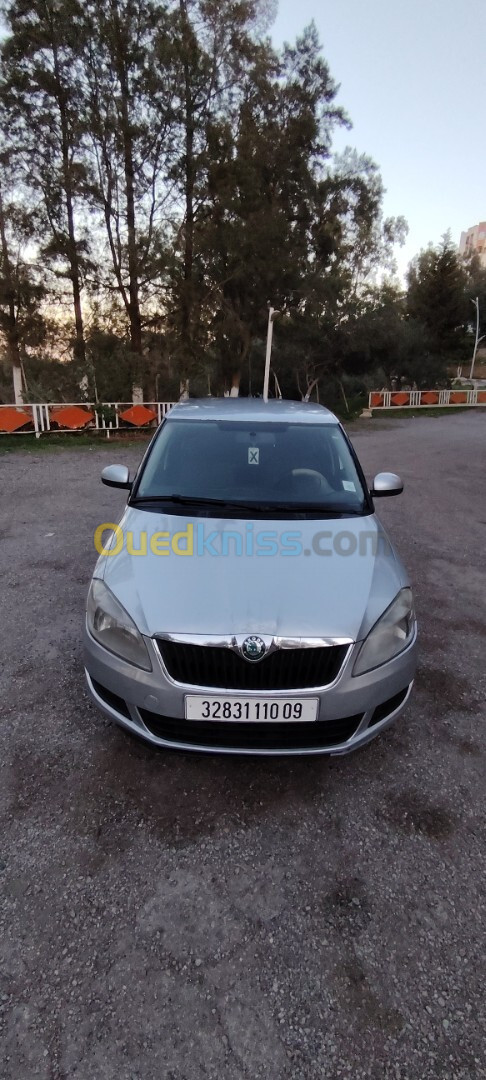 Skoda Fabia 2010 