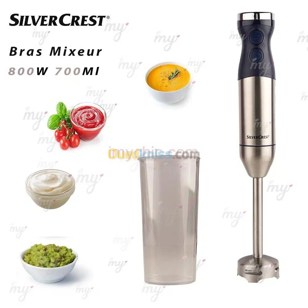 SilverCrest Bras Mixeur 800W 700ml HB5011Y-GS3