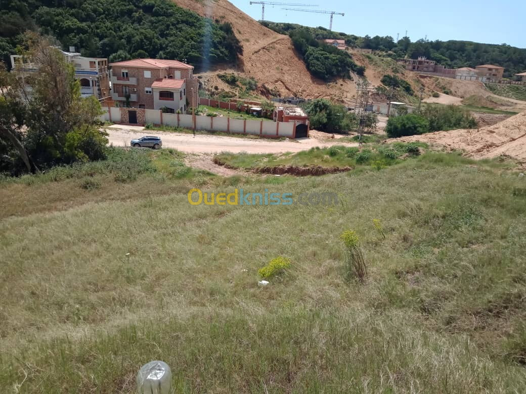 Vente Terrain Skikda Filfla