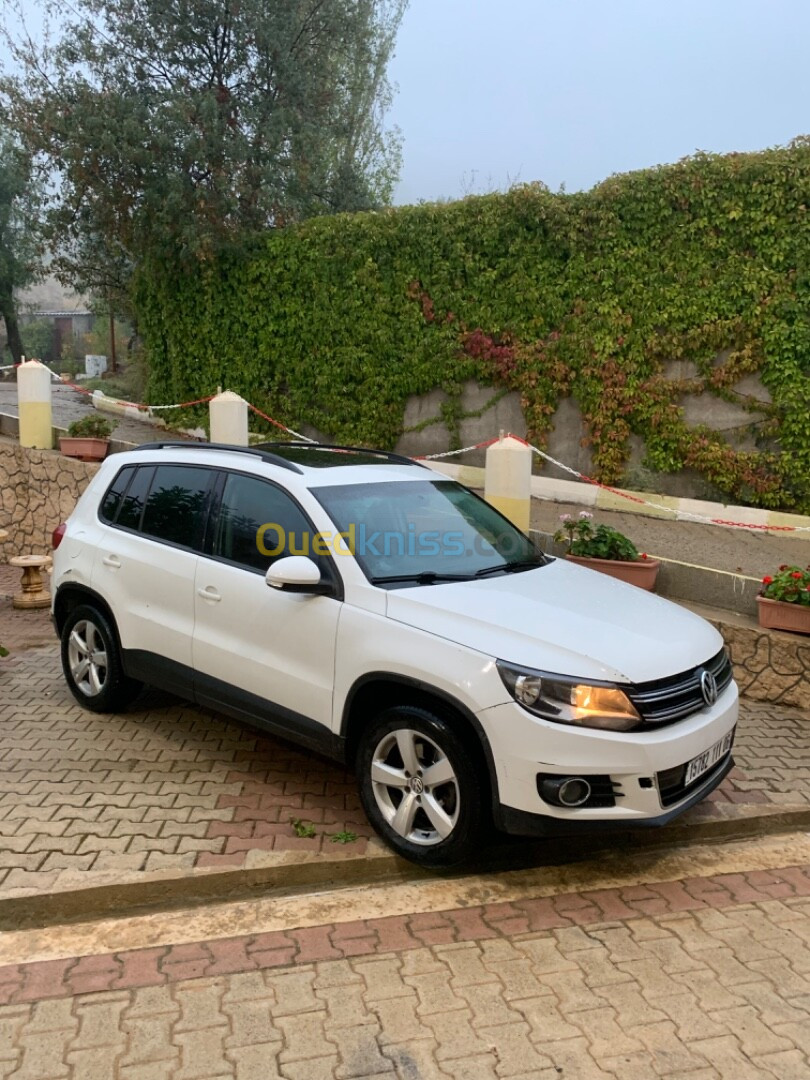 Volkswagen Tiguan 2011 Style