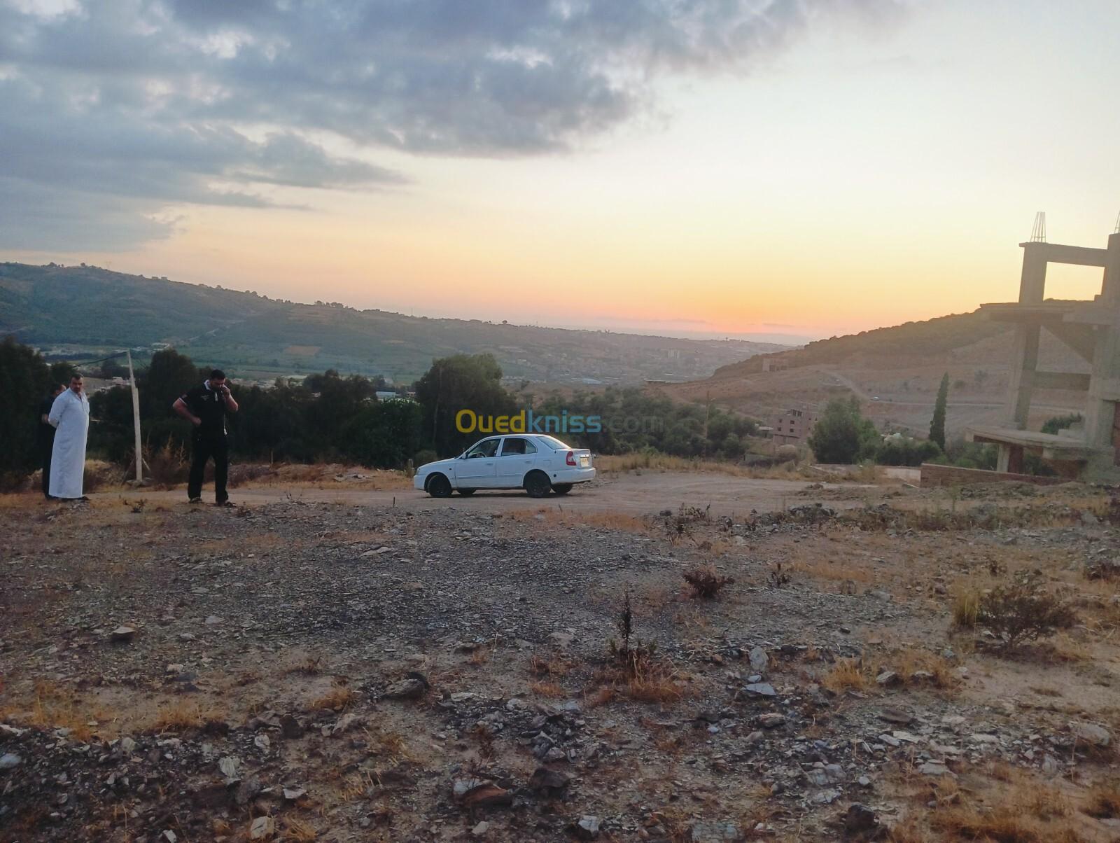 Vente Terrain Boumerdès El kharrouba