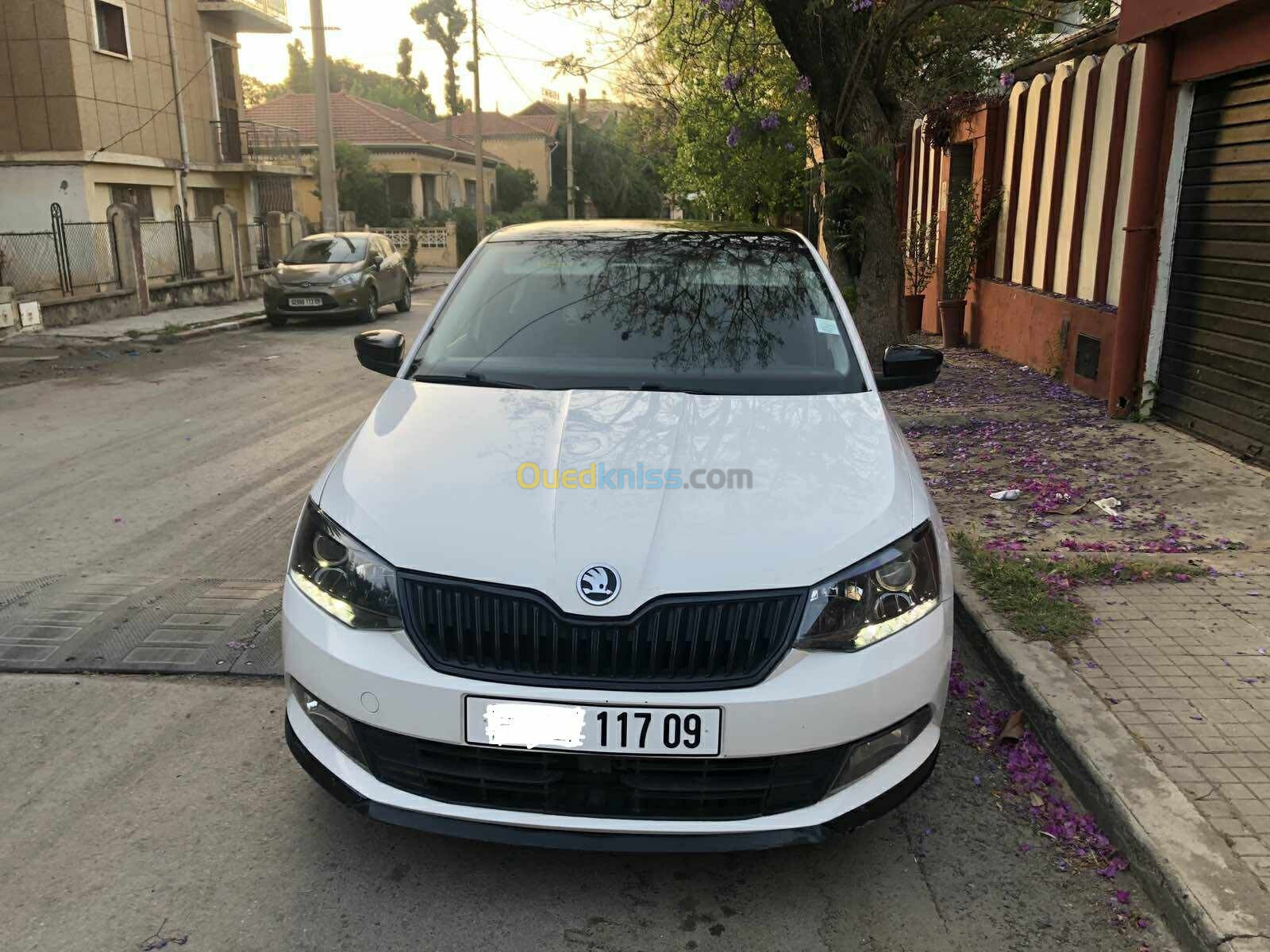 Skoda Fabia 2017 Monte Carlo