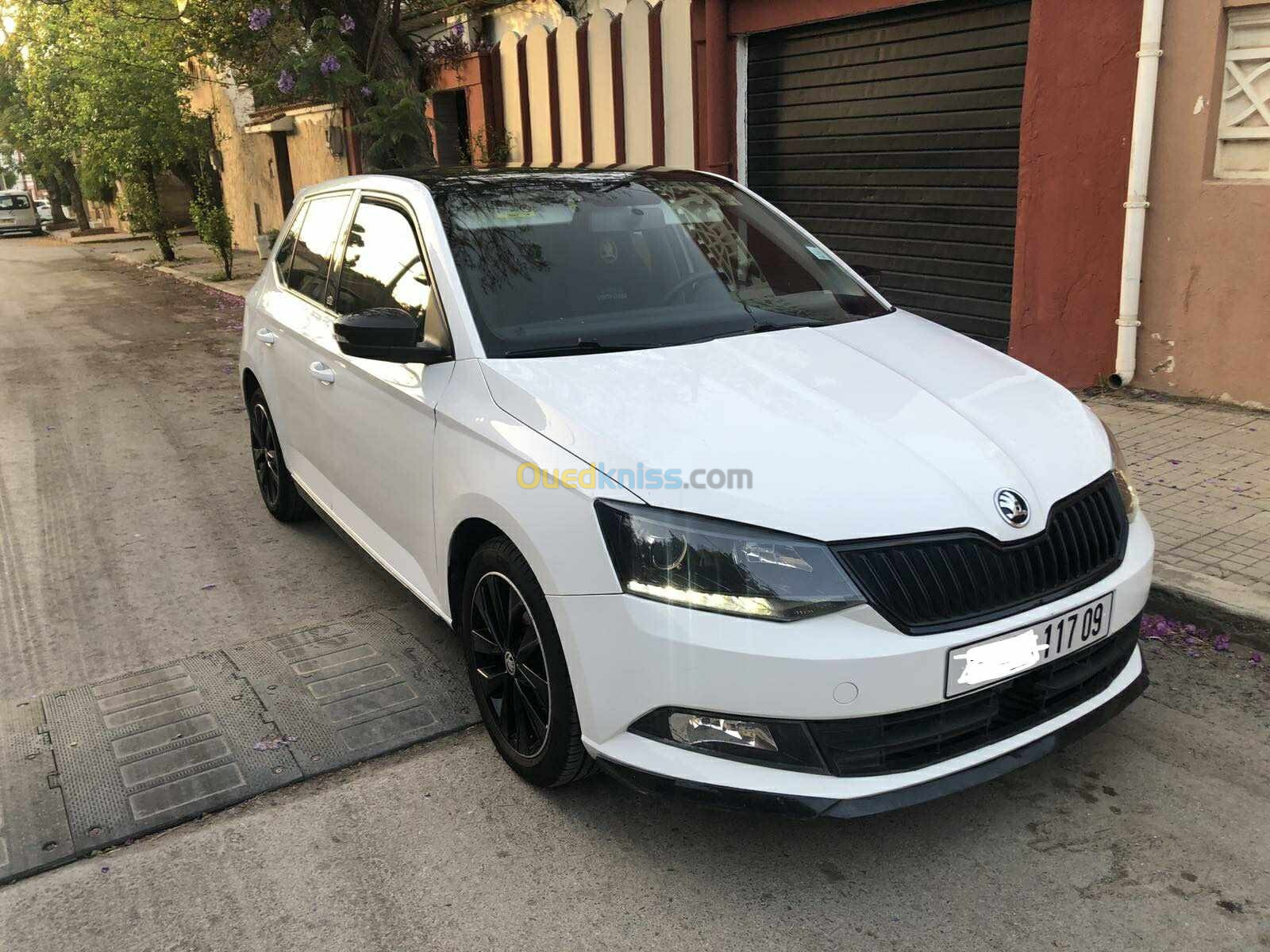 Skoda Fabia 2017 Monte Carlo