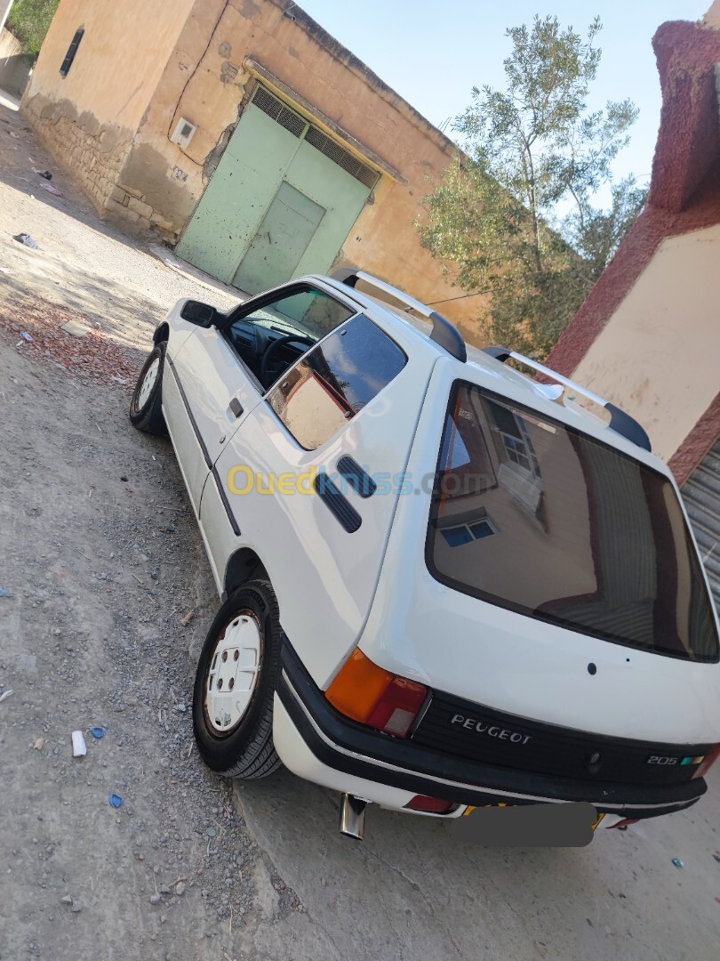 Peugeot 205 1987 205