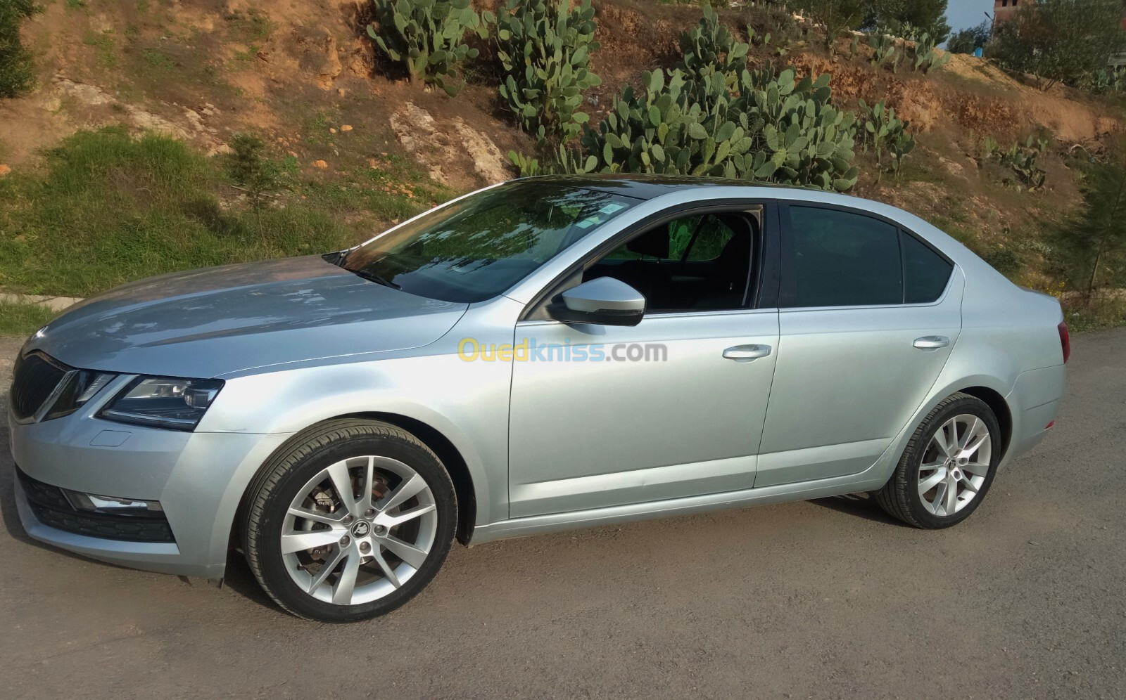 Skoda Octavia 2019 Octavia