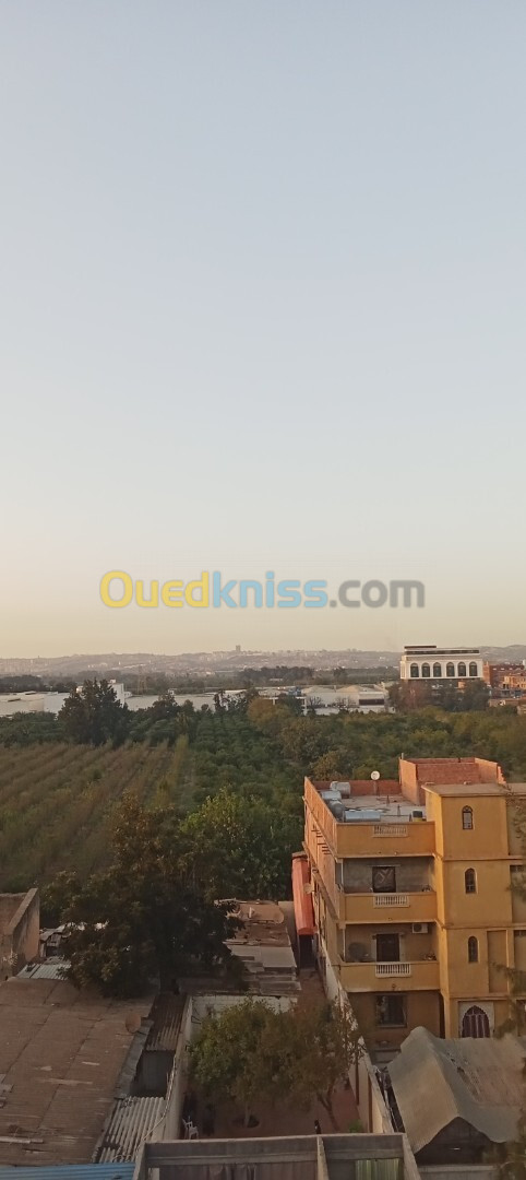 Vente Appartement F4 Blida Boufarik