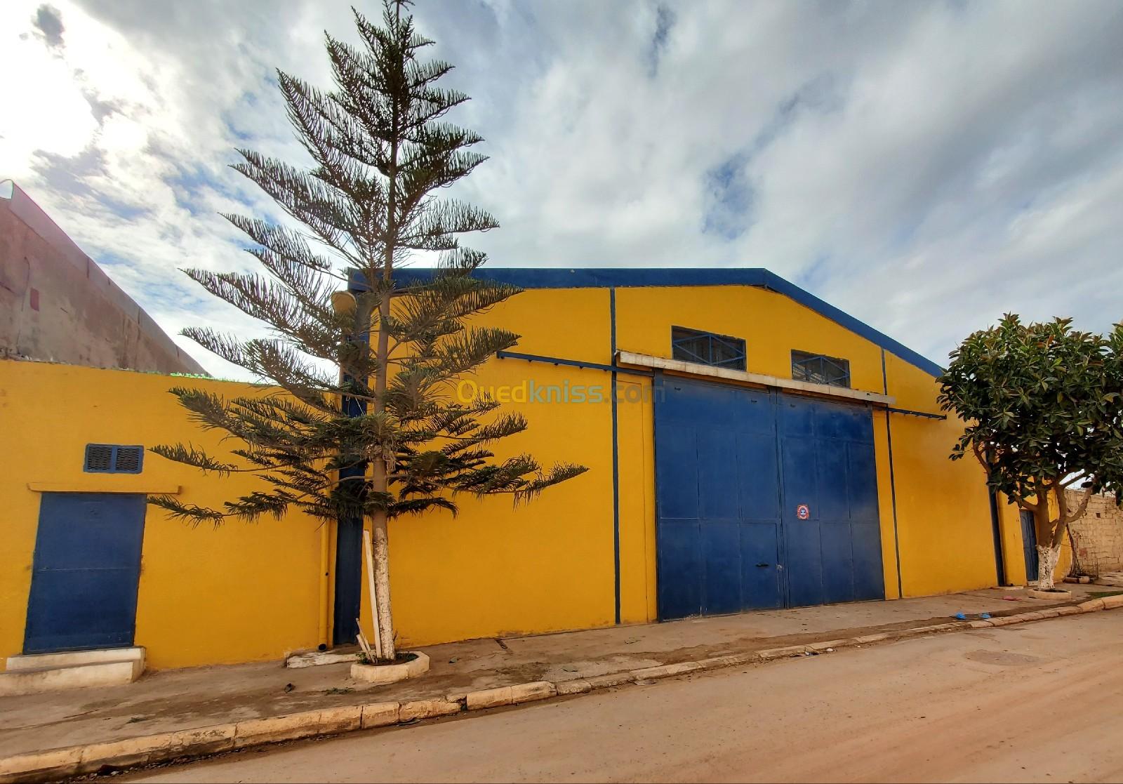 Location Hangar Oran Sidi chami