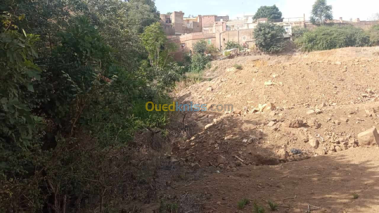 Vente Terrain Tlemcen Tlemcen