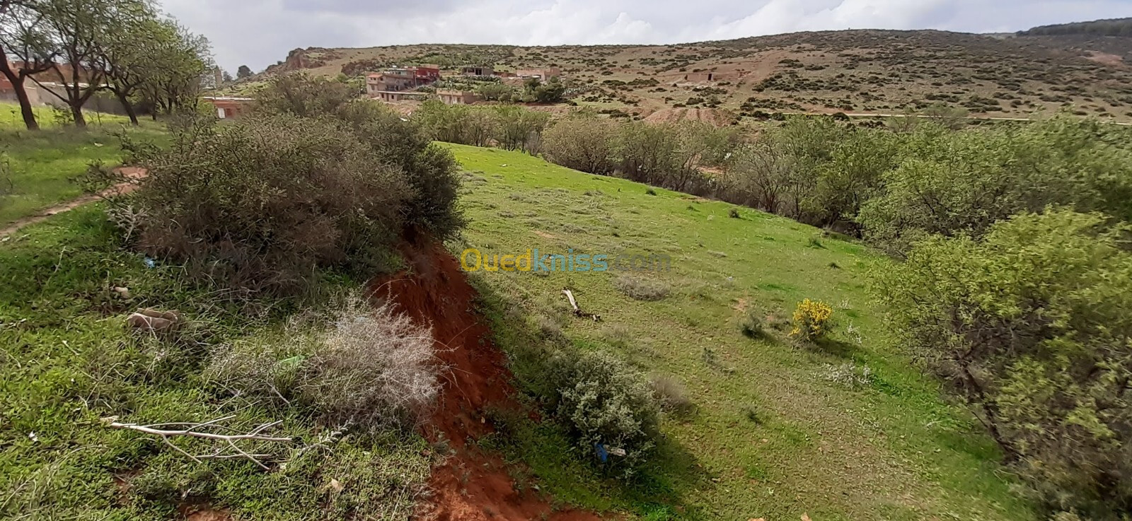 Vente Terrain Tlemcen Ain fezza