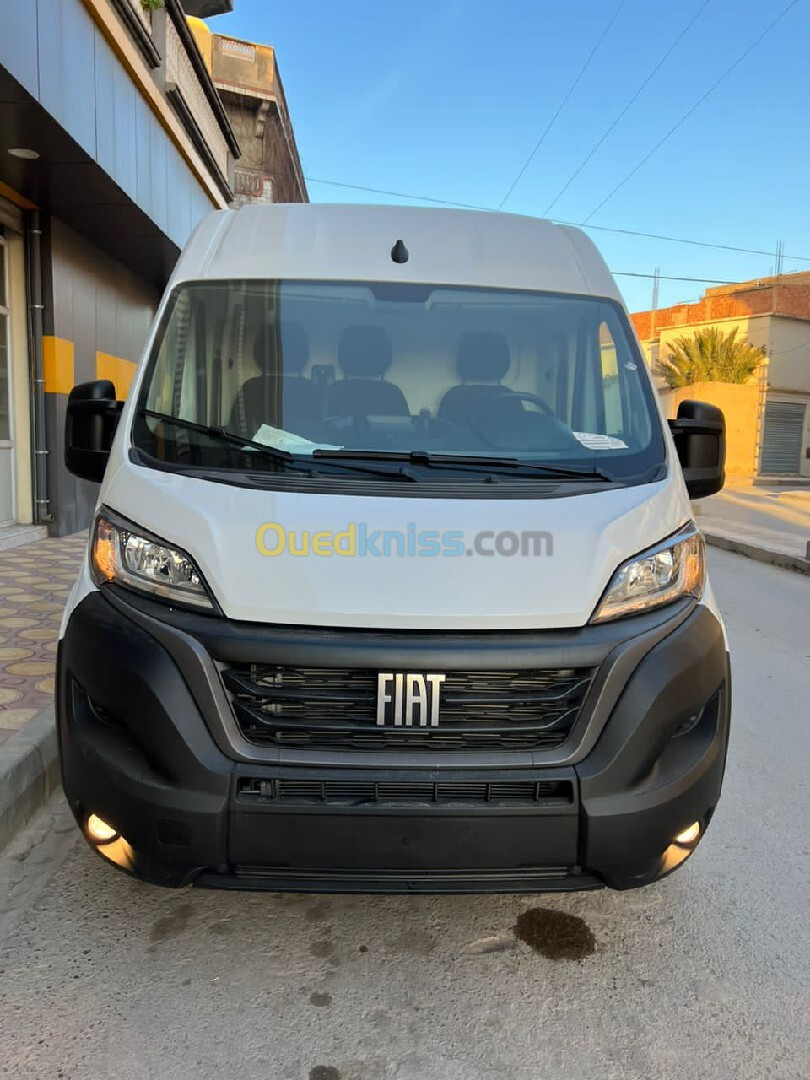 ducato 3pano Fiat 2024