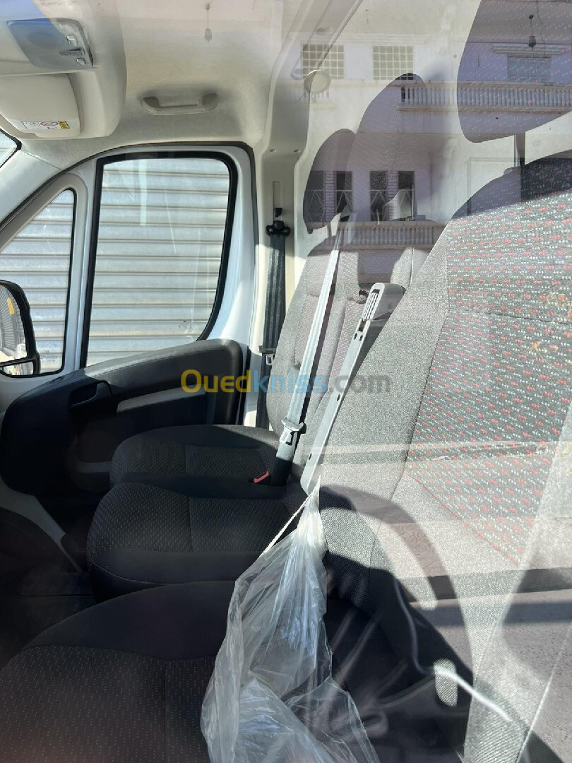 ducato Fiat 2023