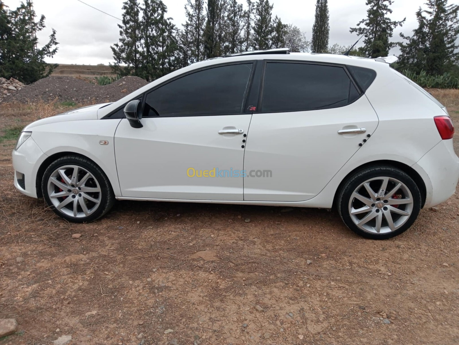 Seat Ibiza 2013 ⁸