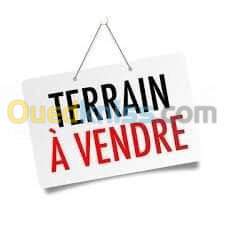 Vente Terrain Agricole Mascara Ain fekan