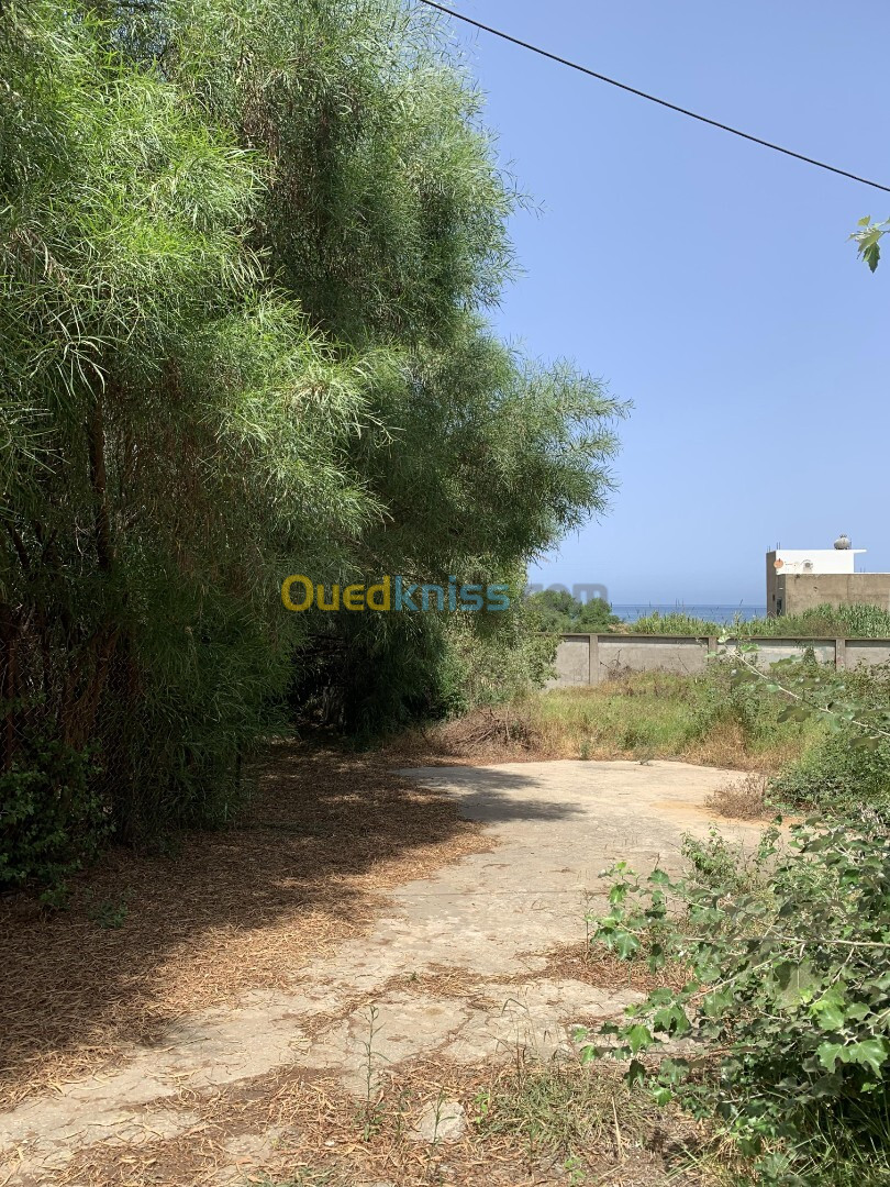 Vente Terrain Jijel Jijel