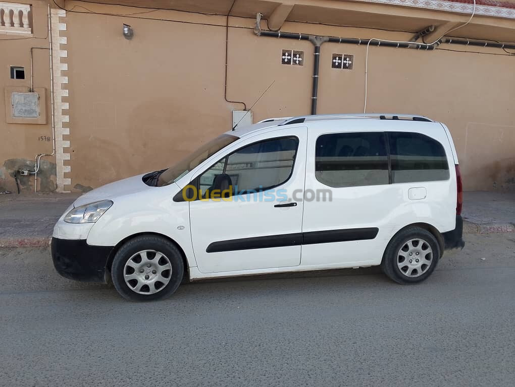 Peugeot Partner 2009 Tepee