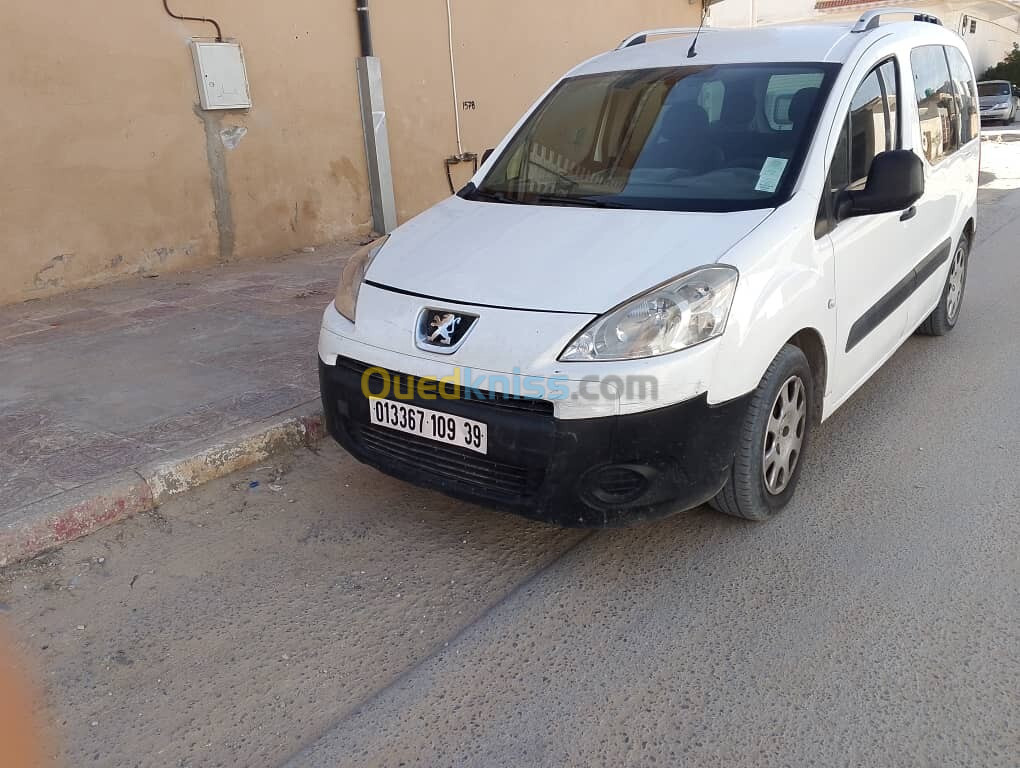 Peugeot Partner 2009 Tepee