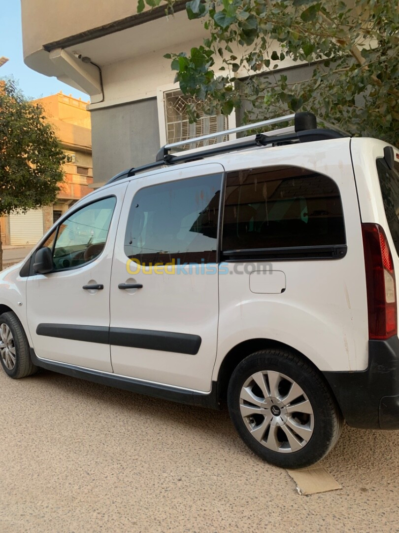 Citroen Berlingo Multispace 2019 Berlingo Multispace