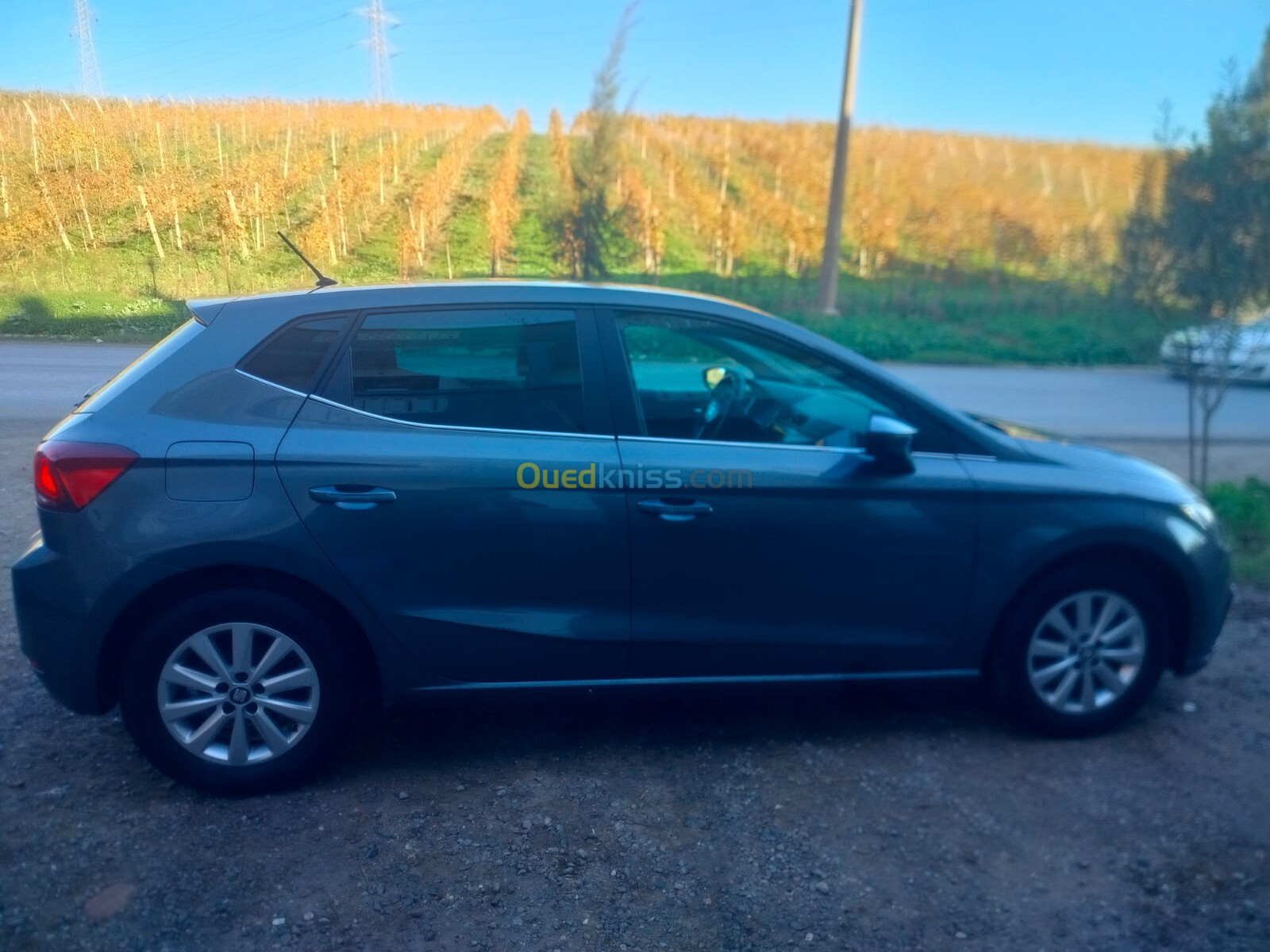 Seat Ibiza 2018 Style Facelift