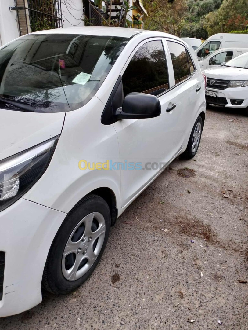 Kia Picanto 2019 EX