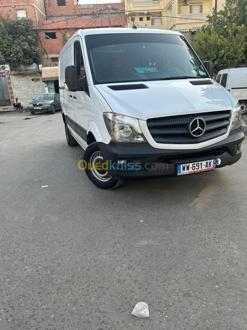 Mercedes canich Sprinter 2017