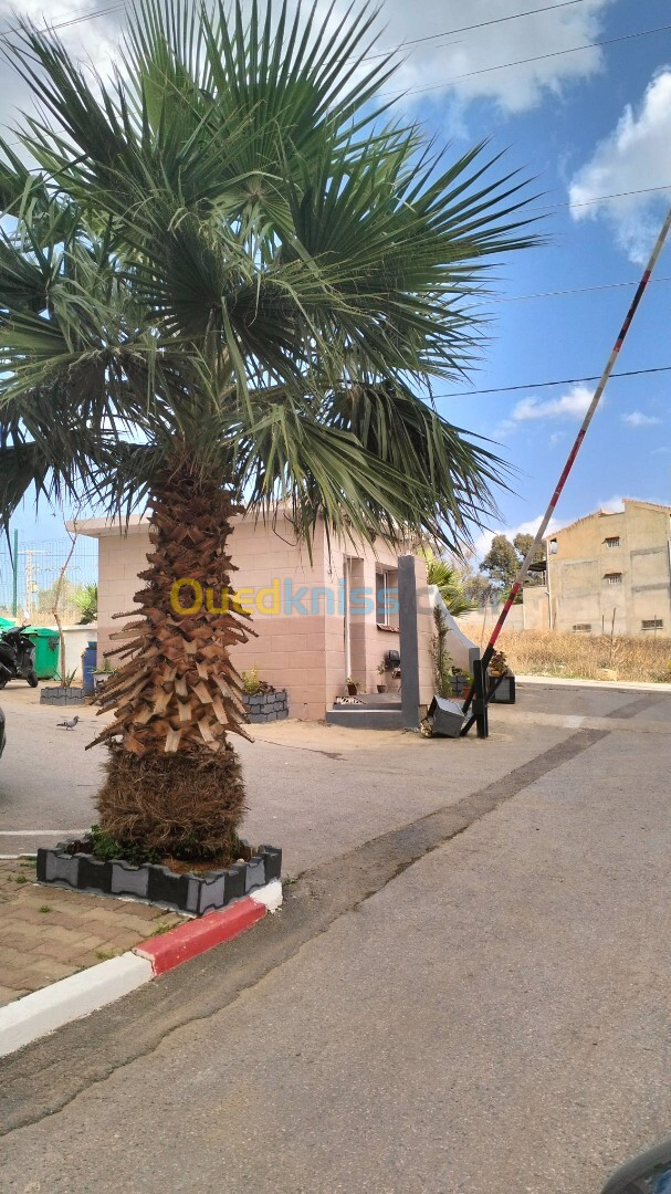 Location Duplex F6 Alger Ouled fayet