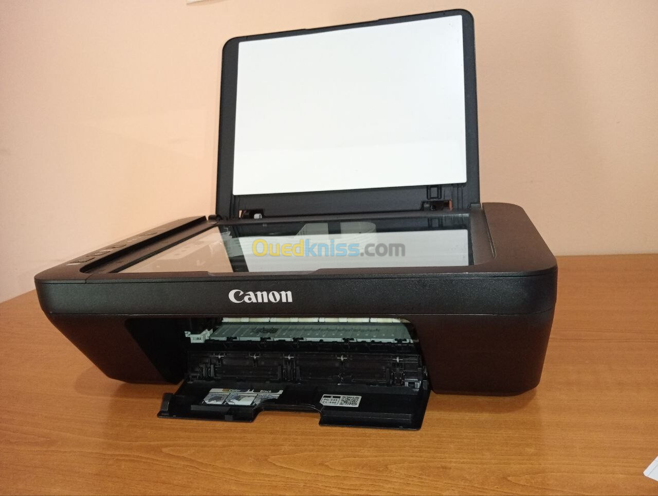 imprimante canon pixma mg2540s 