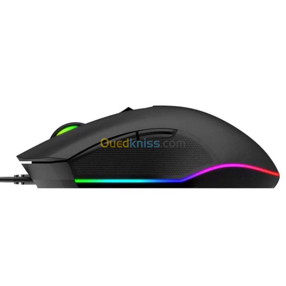 Souris gamer 