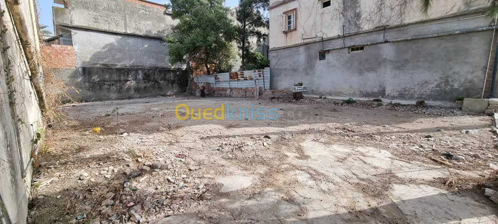 Vente Terrain Jijel Emir abdelkader