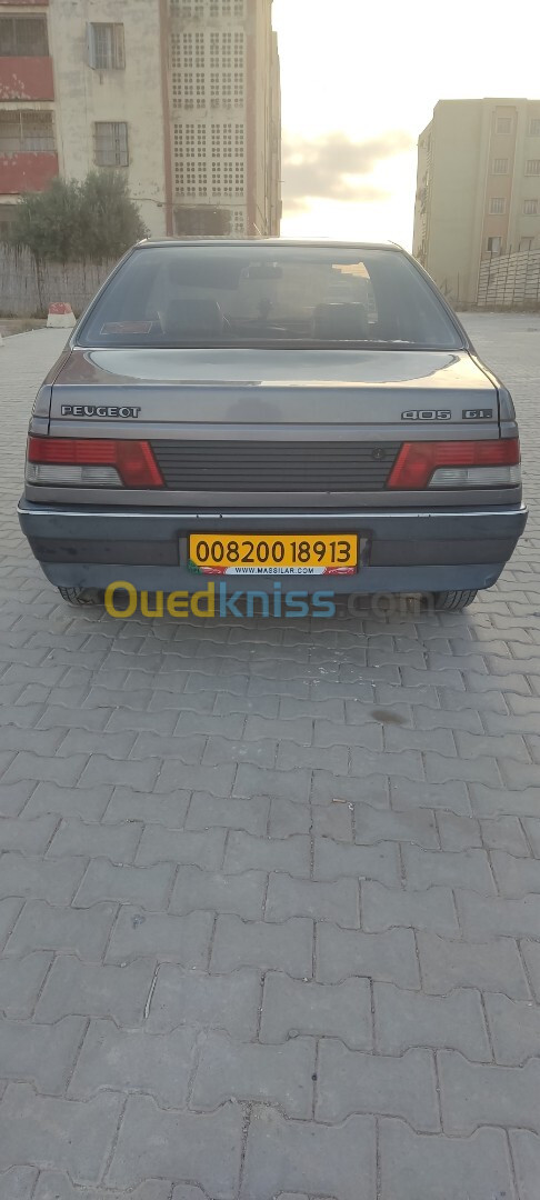 Peugeot 405 1989 405