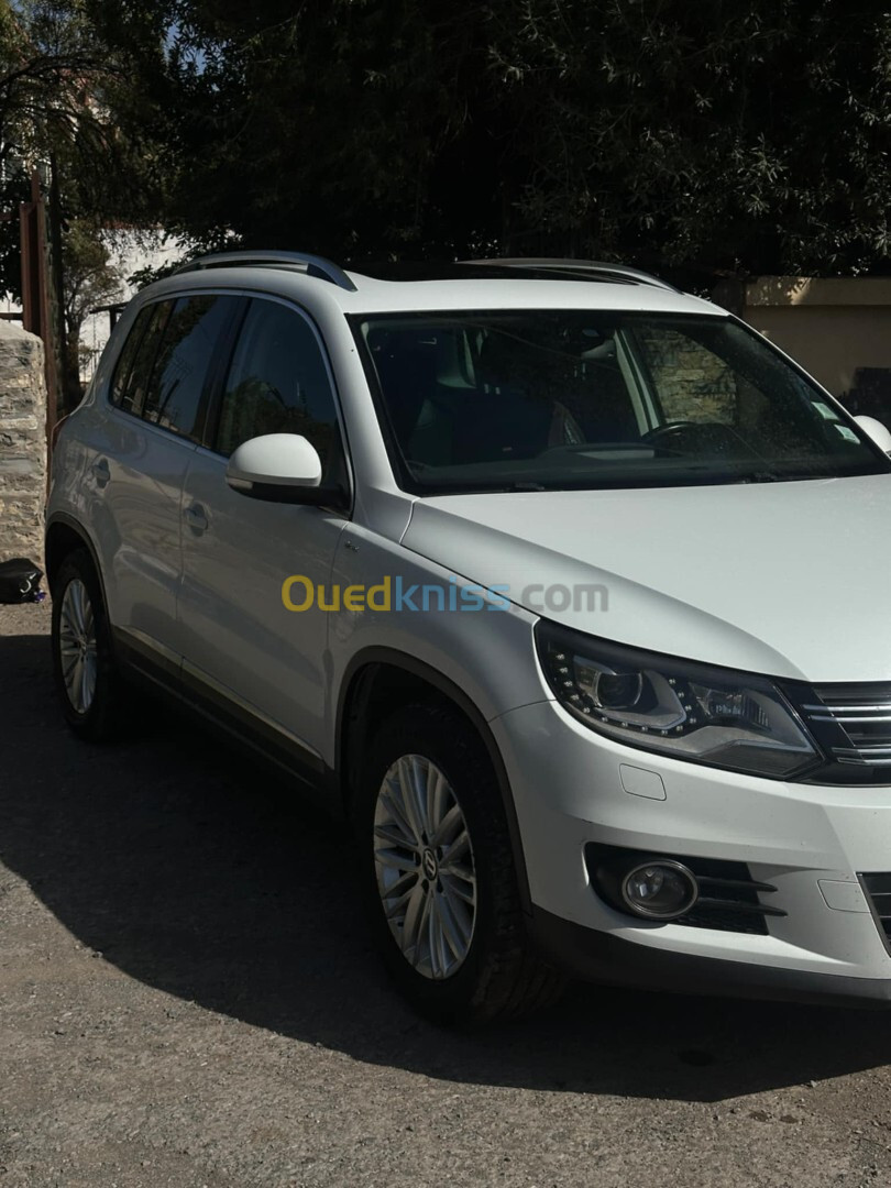 Volkswagen Tiguan 2014 cup