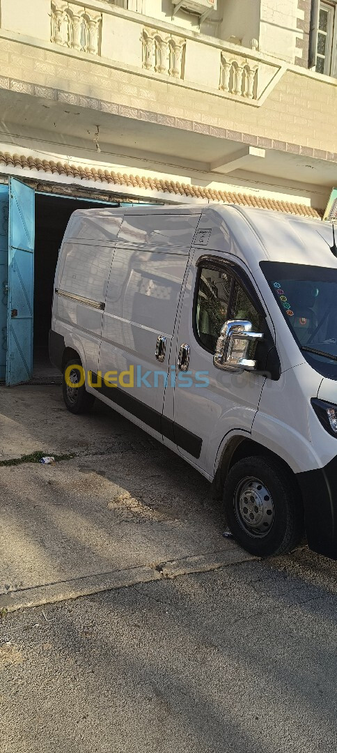 Fiat Professional Ducato 2023 