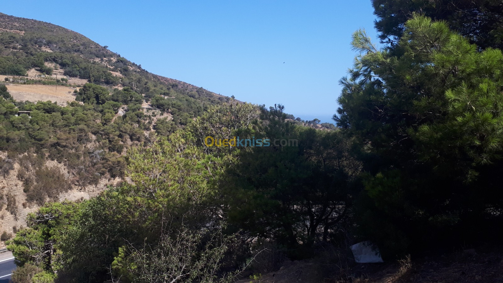 Vente Terrain Chlef Tenes