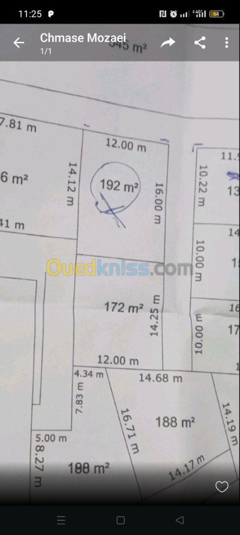 Vente Terrain Boumerdès Ouled moussa