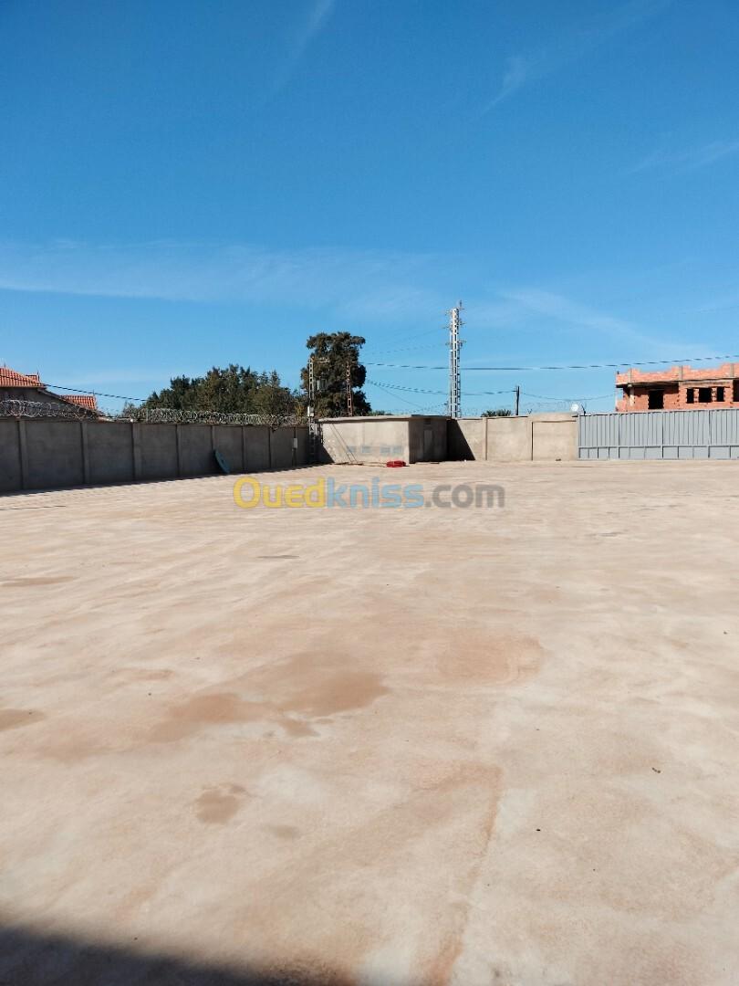 Location Hangar Boumerdès Ouled moussa