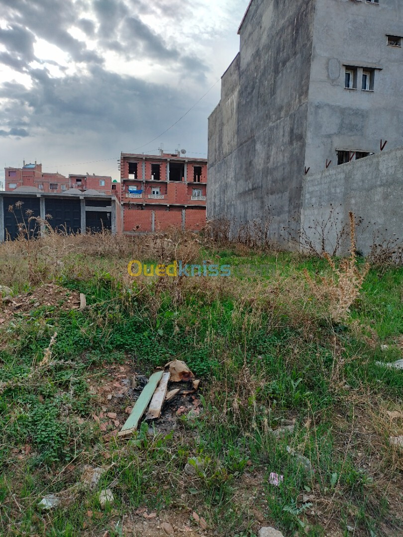 Vente Terrain Boumerdès Ouled moussa