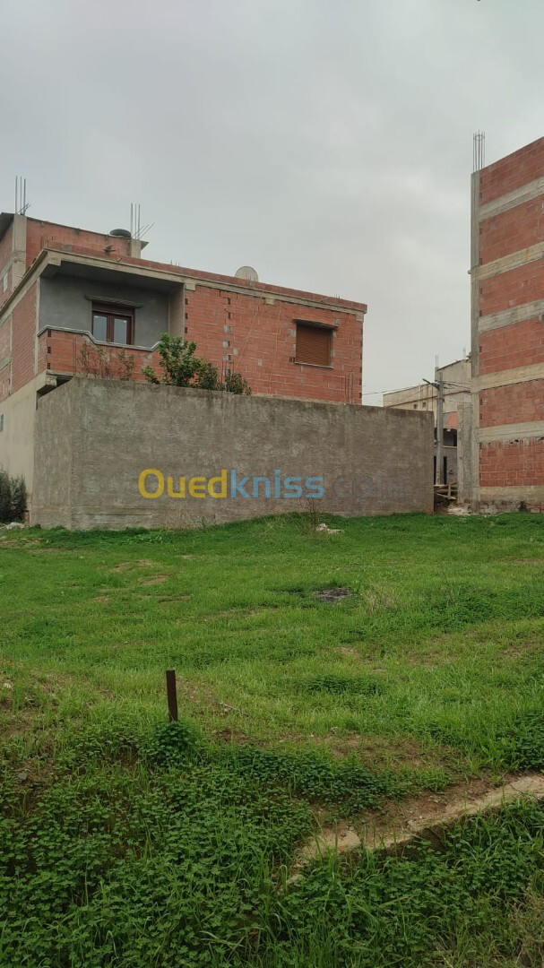 Vente Terrain Boumerdès Ouled moussa