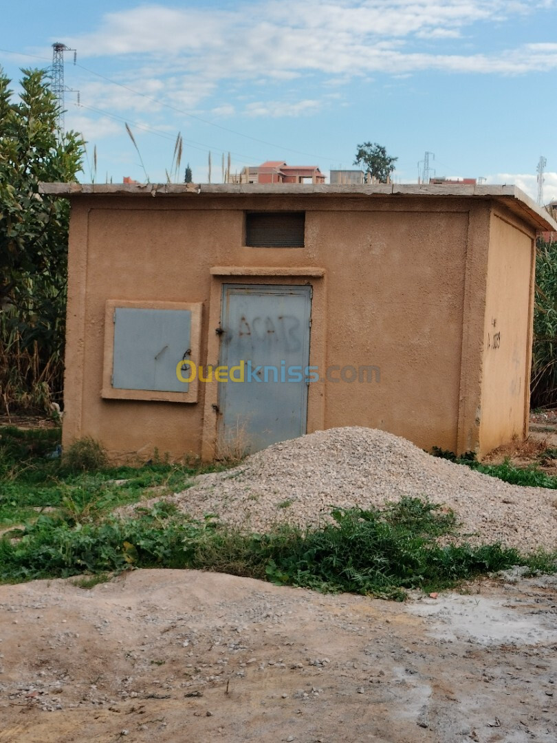 Vente Terrain Boumerdès Ouled moussa