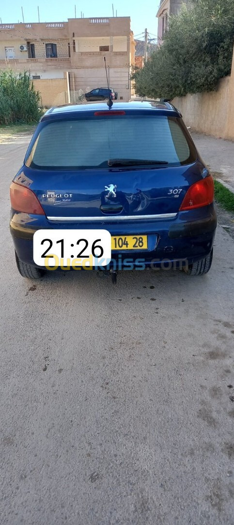 Peugeot 307 2004 307