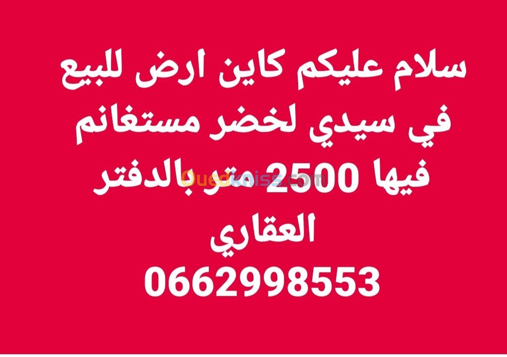 Vente Terrain Mostaganem Sidi lakhdaara