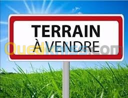 Vente Terrain Oran Es senia