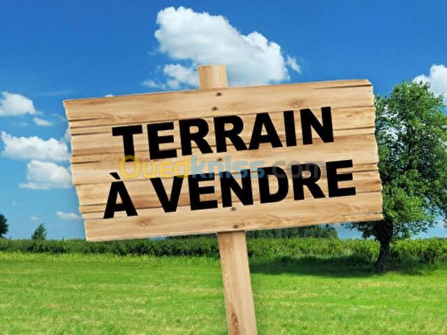 Vente Terrain Oran Bir el djir