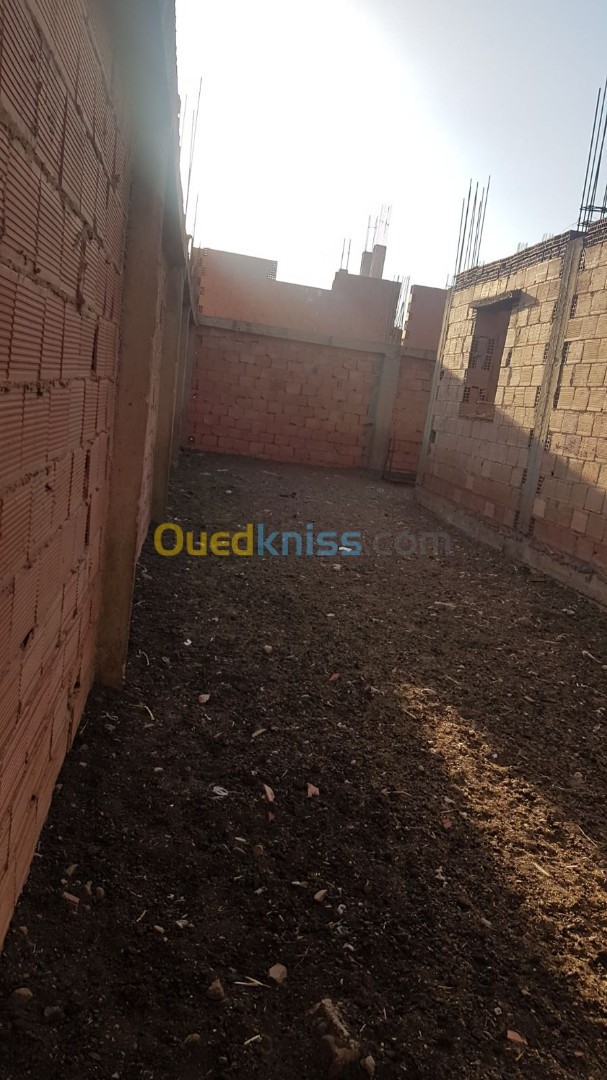 Vente Terrain Aïn Defla Sidi lakhdar Aïn Defla Algérie