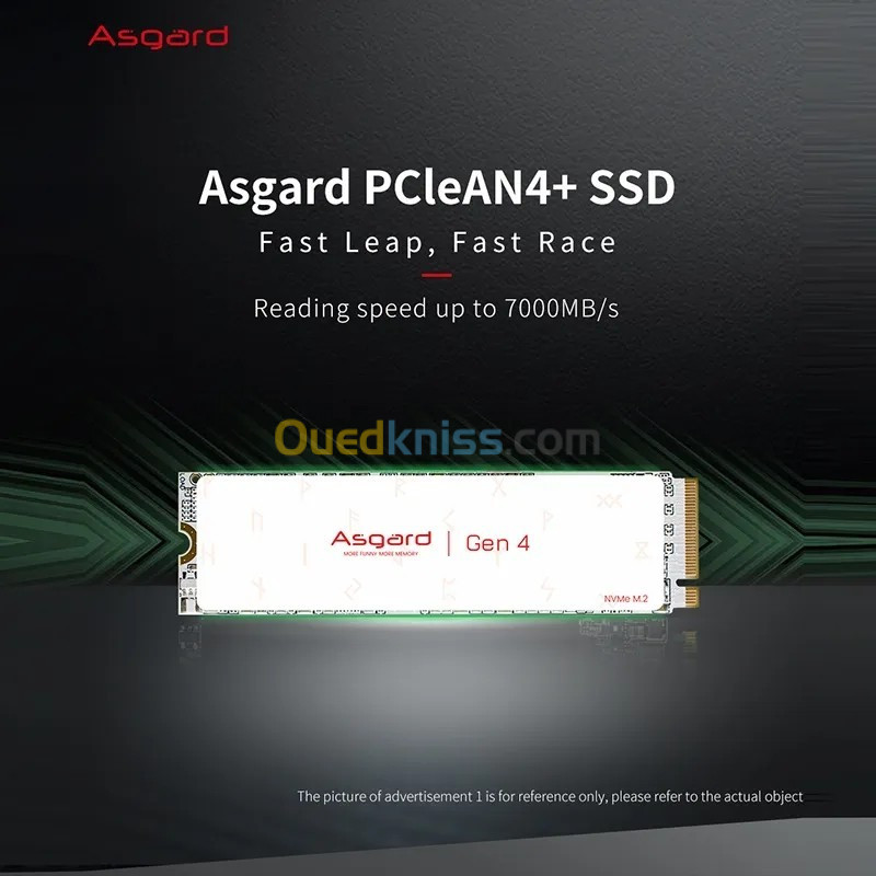 Asgard-Disque dur SSD NVMe, 1 To