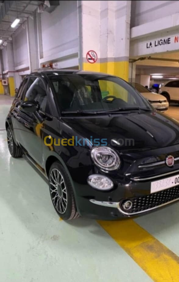 Fiat 500 2024 