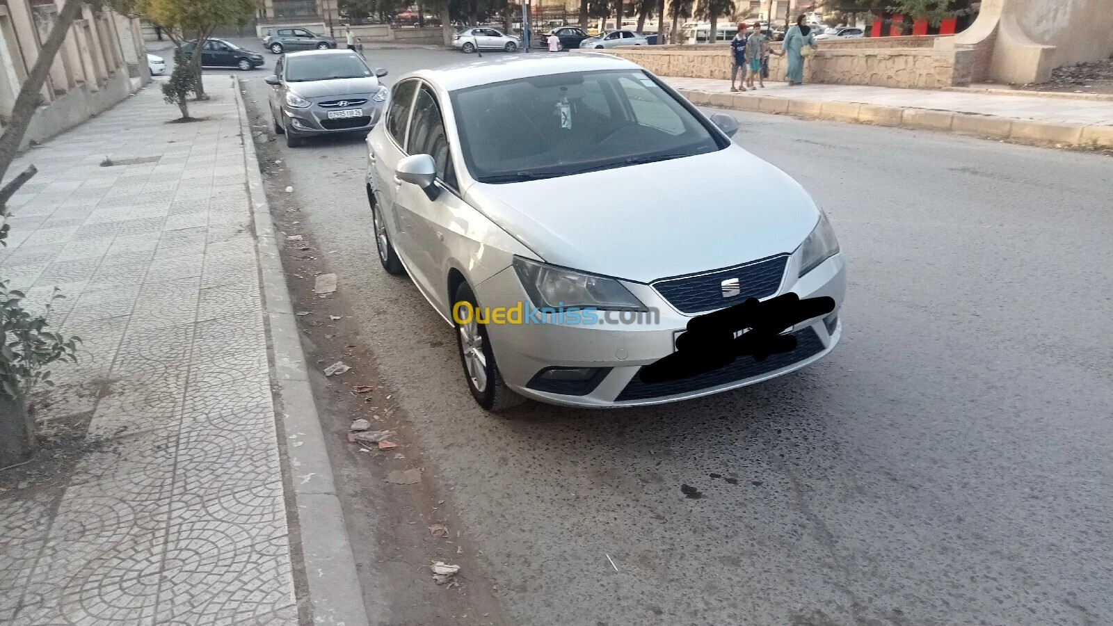 Seat Ibiza 2013 Fully