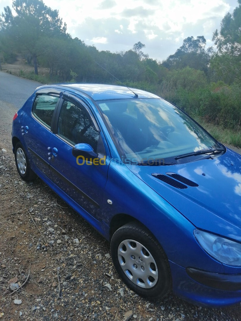 Peugeot 206 2005 206