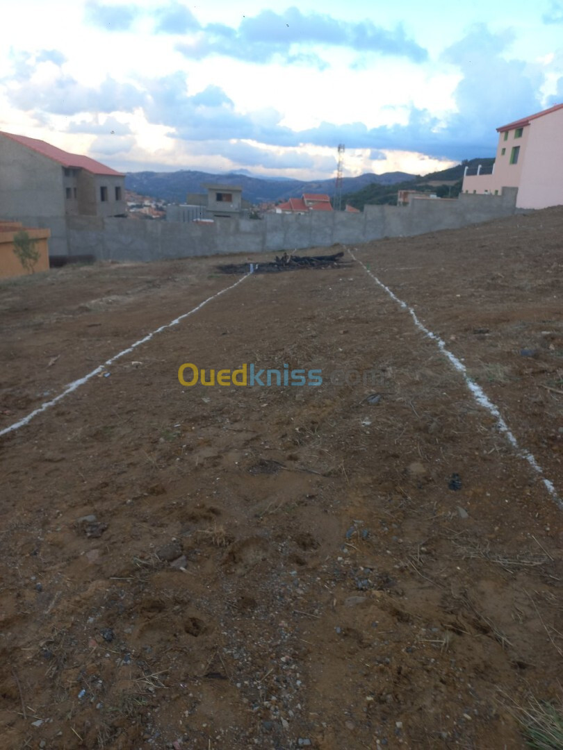 Vente Terrain Blida Djebara