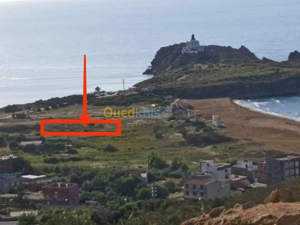 Vente Terrain Jijel Jijel